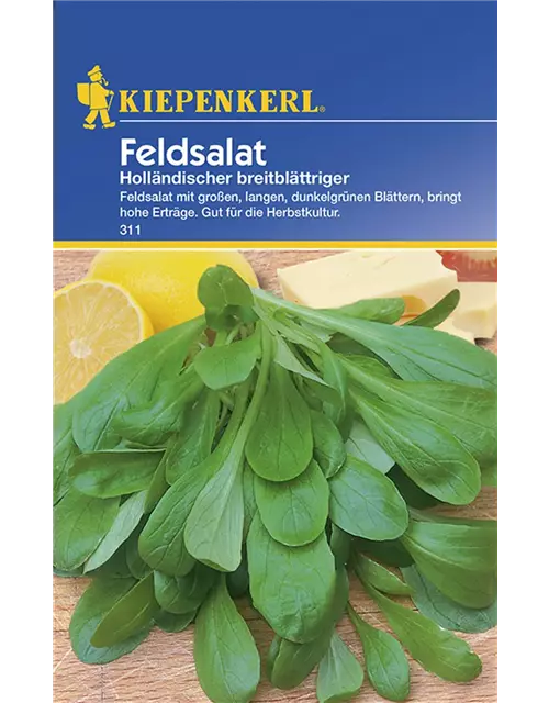 Holländischer Feldsalat - breitblättrig