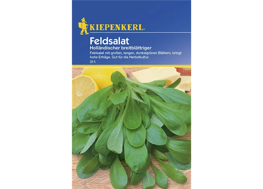 Holländischer Feldsalat - breitblättrig