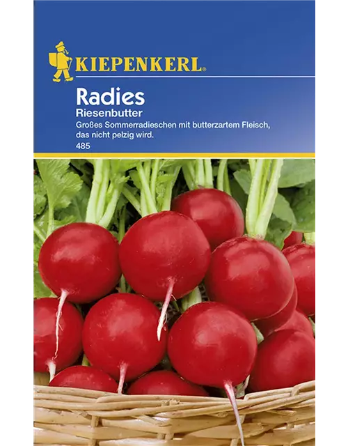 Radies Riesenbutter