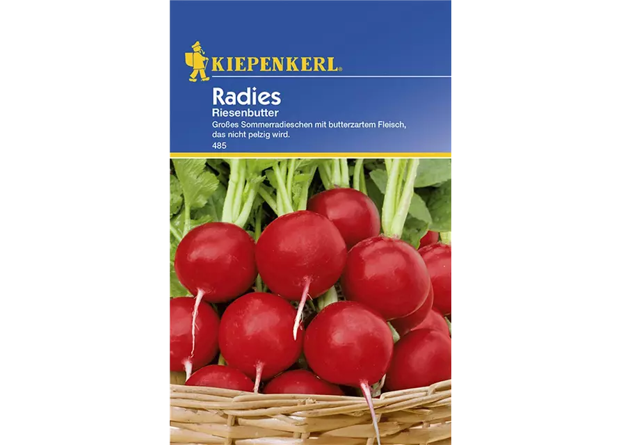 Radies Riesenbutter