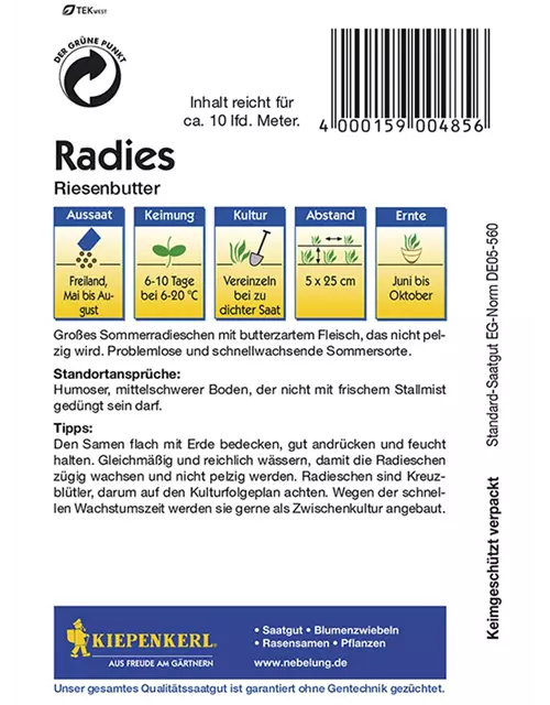 Radies Riesenbutter