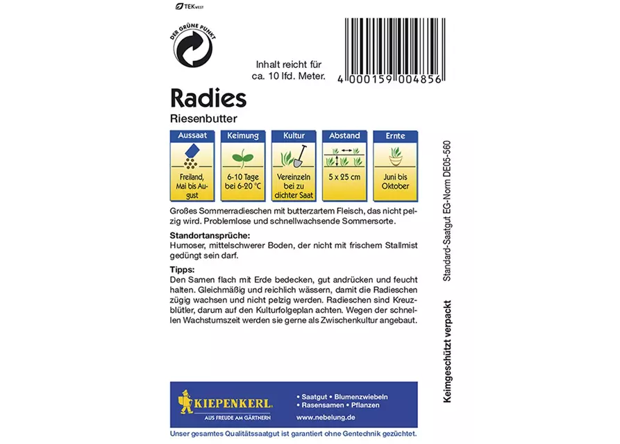 Radies Riesenbutter