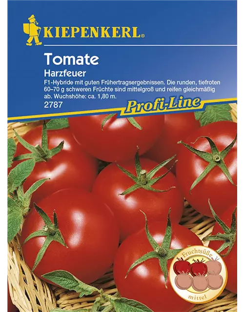 Tomate Harzfeuer