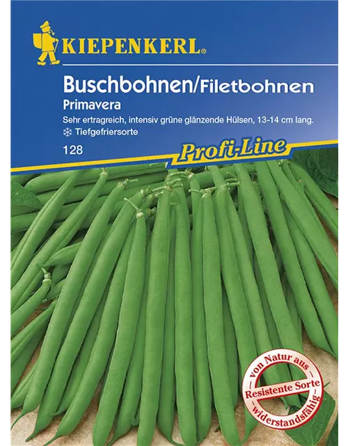 Buschbohne Primavera