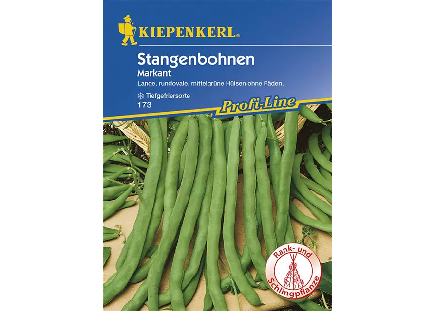 Stangenbohnen Markant