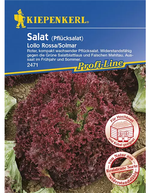 Salat Lollo Rossa Solmar