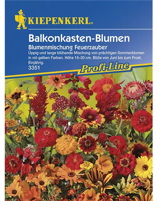 Blumenmix Feuerzauber für Balkonkasten