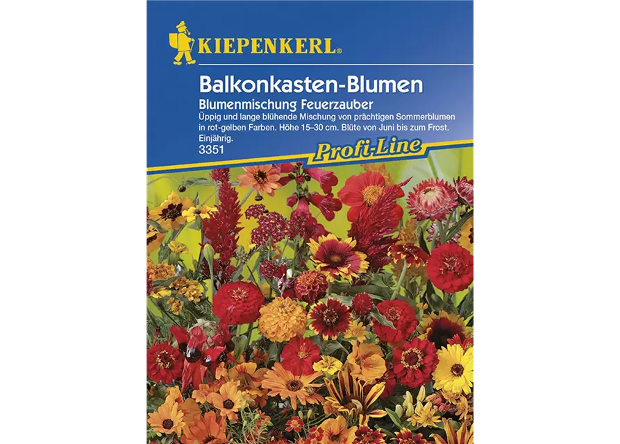 Blumenmix Feuerzauber für Balkonkasten