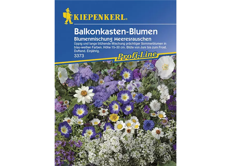 Blumenmix Meeresrauschen