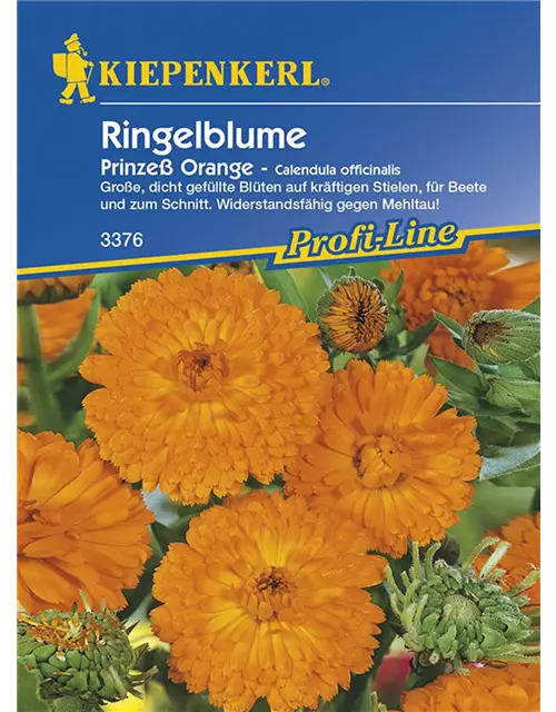 Calendula Prinzeß Orange