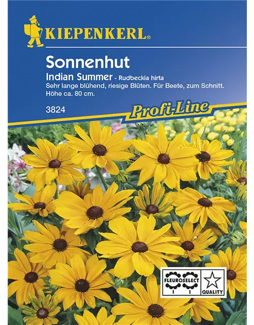 Rudbeckia India Summer