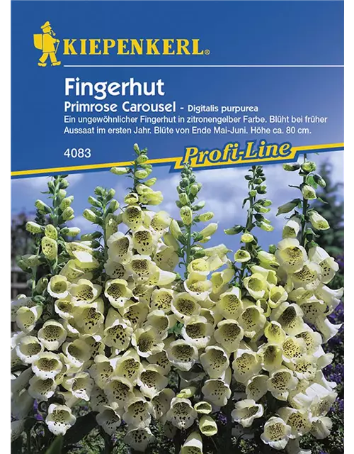 Digitalis Primrose Carousel