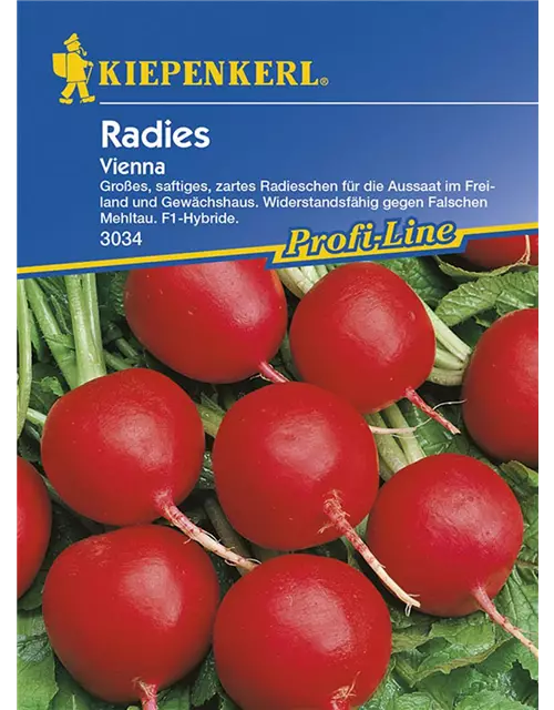 Radies Vienna