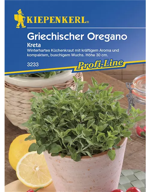 Oregano Kreta