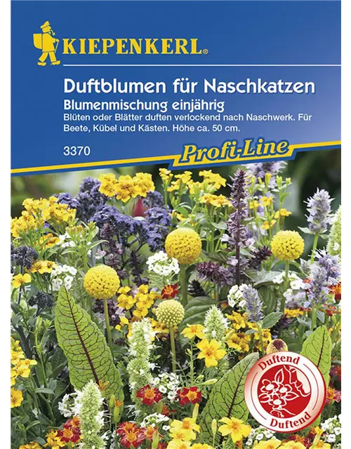 Duftblumen für Naschkatzen