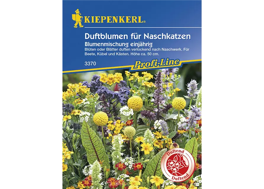 Duftblumen für Naschkatzen