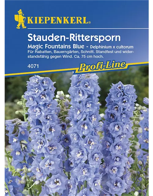 Delphinium Magic Fountains Blue