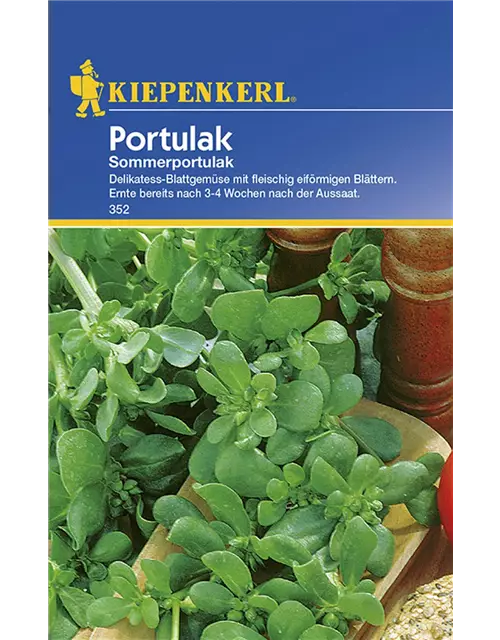 Portulak Sommerportulak