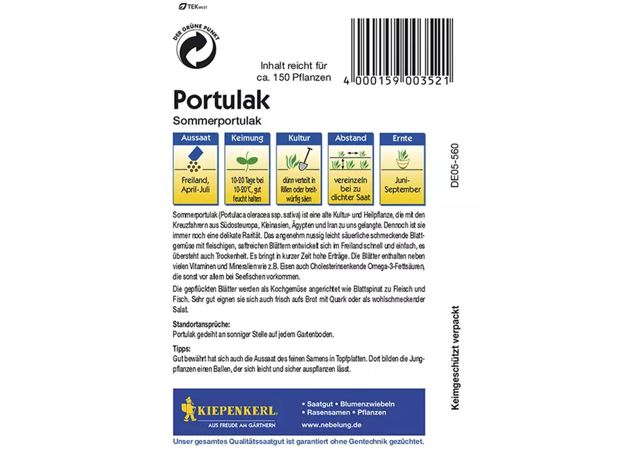 Portulak Sommerportulak