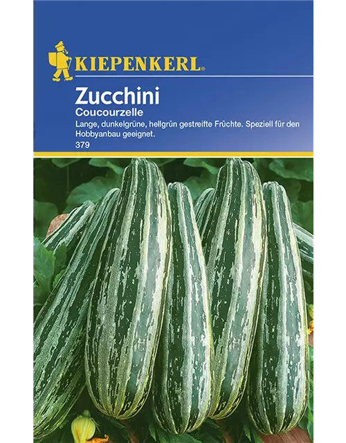 Zucchini C. von Tripolis