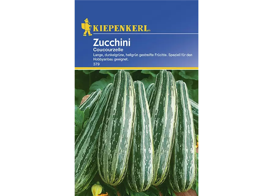 Zucchini C. von Tripolis