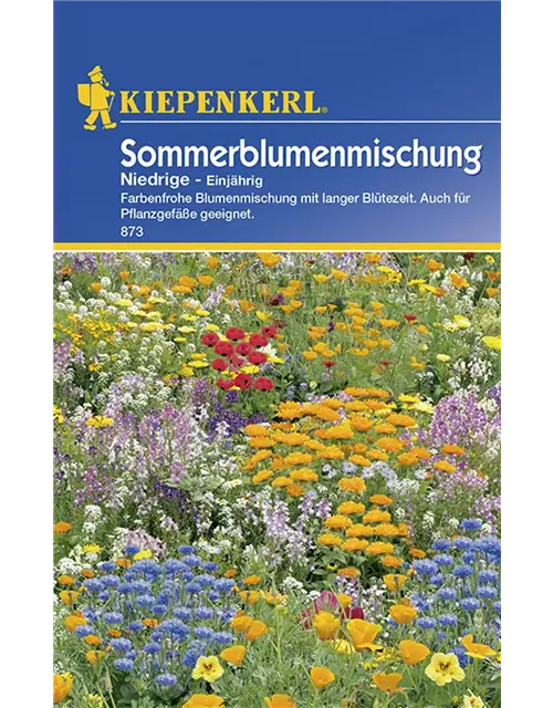 Niedriger Sommerblumen-Mix