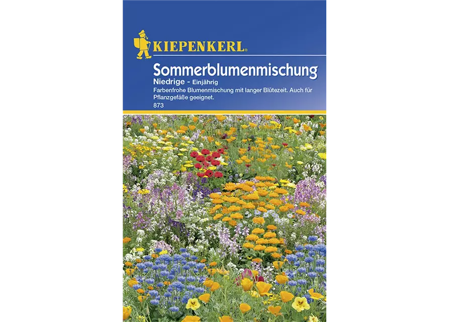 Niedriger Sommerblumen-Mix