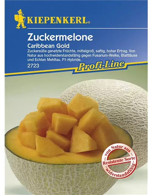 Zuckermelone Carib. Gold