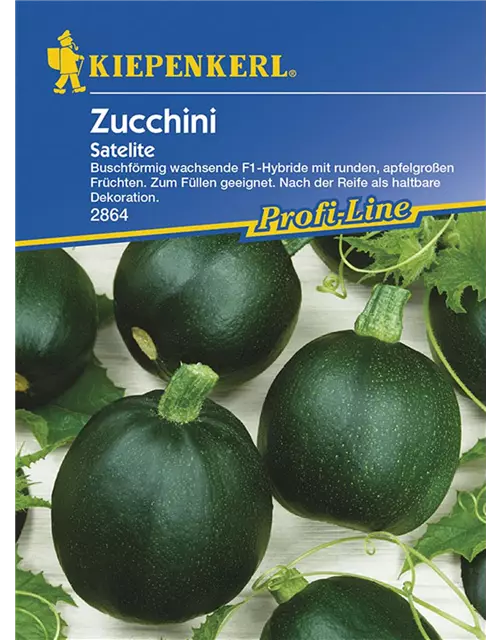 Zucchini Satelite