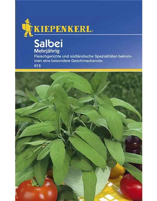 Salbei Mehrjährig