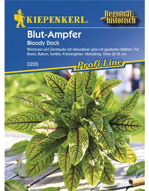 Blut Ampfer Bloody Dock