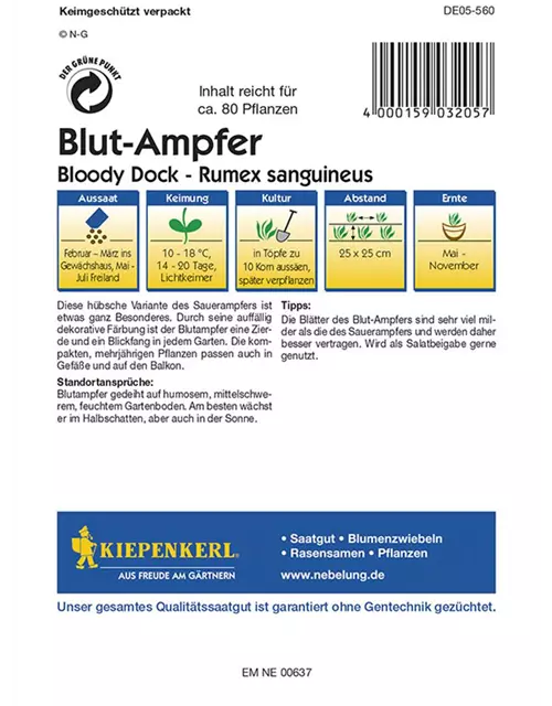 Blut Ampfer Bloody Dock