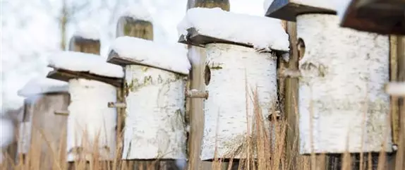 Liebe für alle: zum Valentinstag ein Vogelhaus bauen!