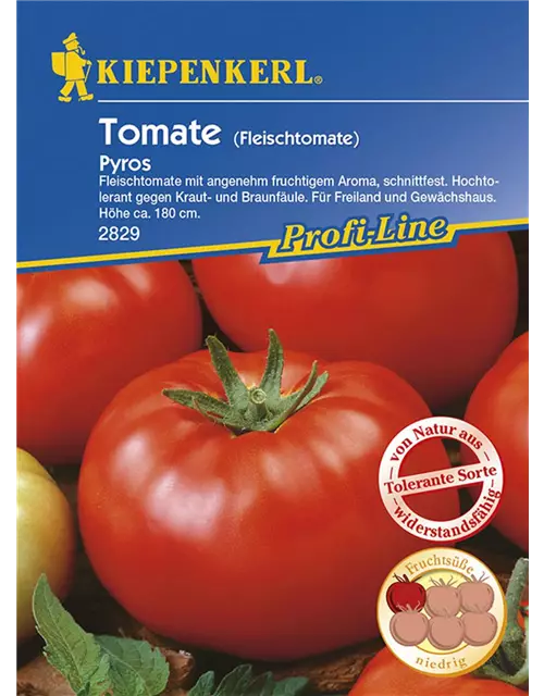 Tomate Pyros Fleischtomate