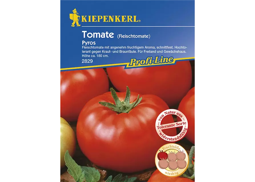 Tomate Pyros Fleischtomate