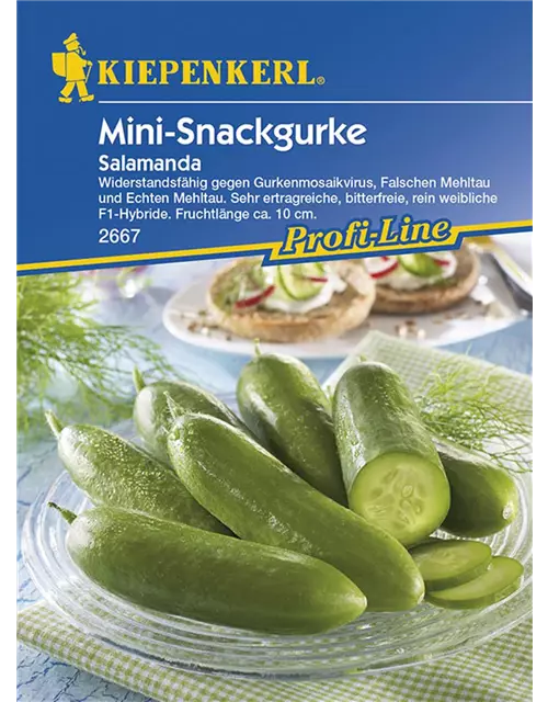 Salatgurke Salamanda