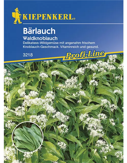 Bärlauch Allium Ursinum