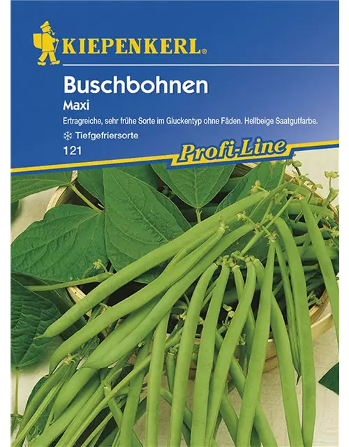 Buschbohnen Maxi