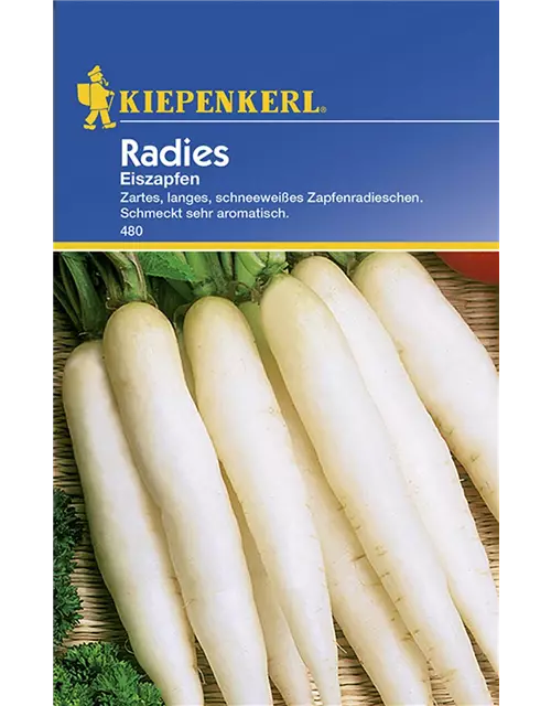 Radies Eiszapfen