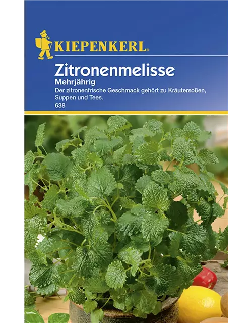 Zitronenmelisse mehrjähr.