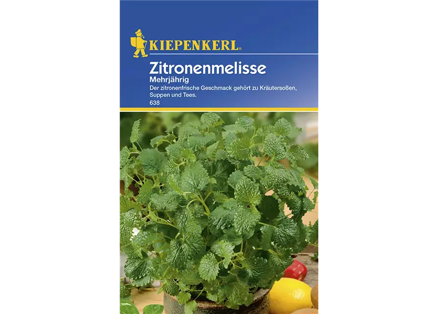 Zitronenmelisse mehrjähr.