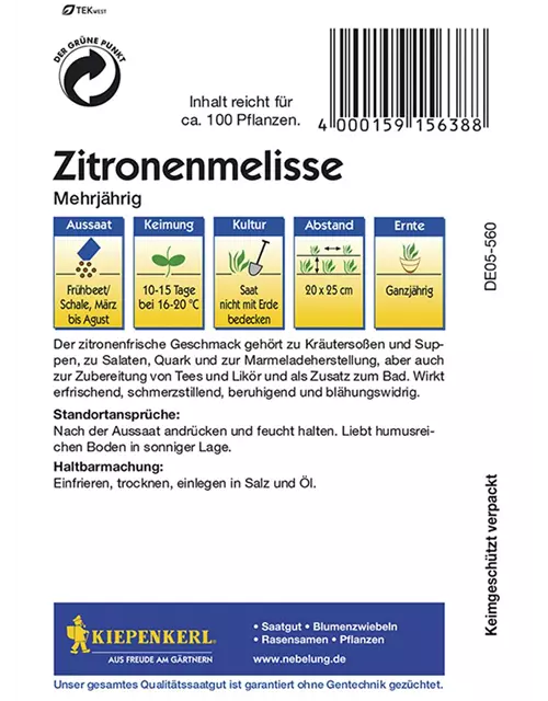 Zitronenmelisse mehrjähr.