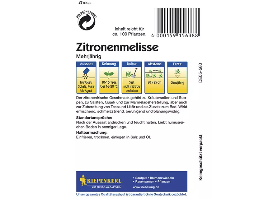 Zitronenmelisse mehrjähr.