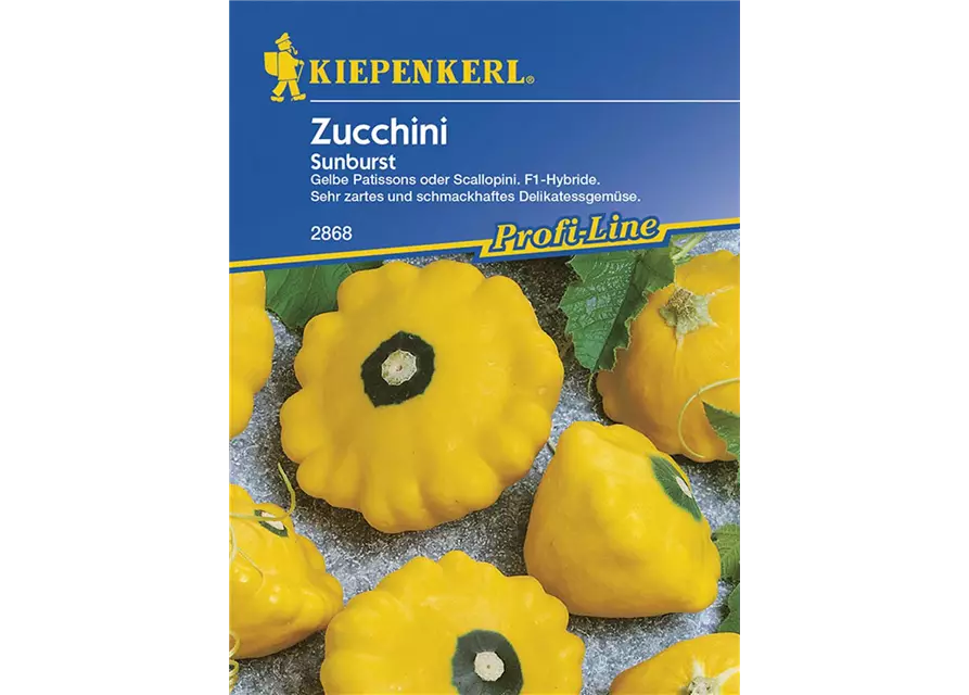 Zucchini Sunburst