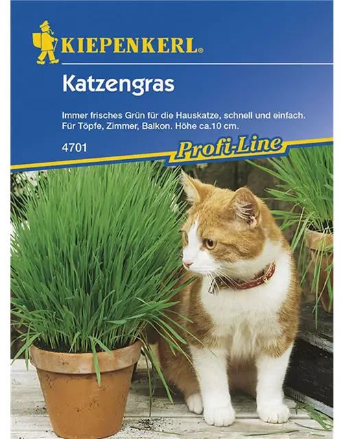 Katzengras Saatscheibe