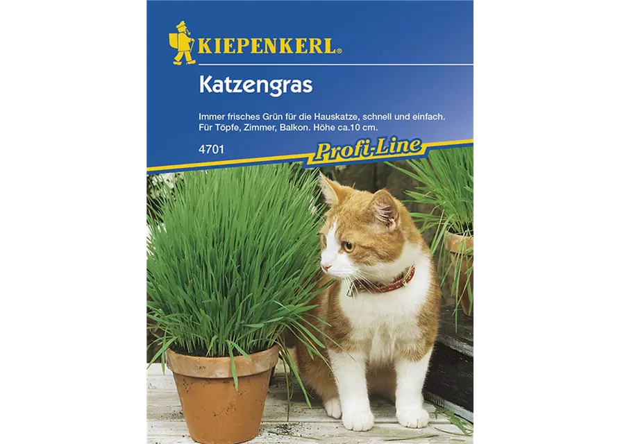 Katzengras Saatscheibe