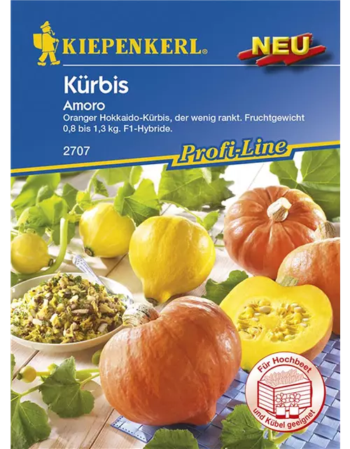 Kürbis Amoro