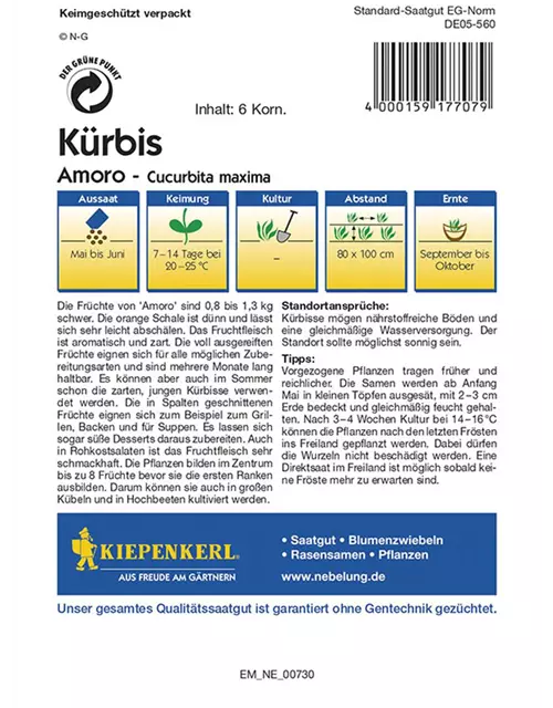 Kürbis Amoro