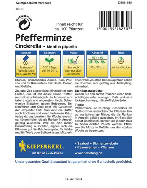 Pfefferminze Cinderella