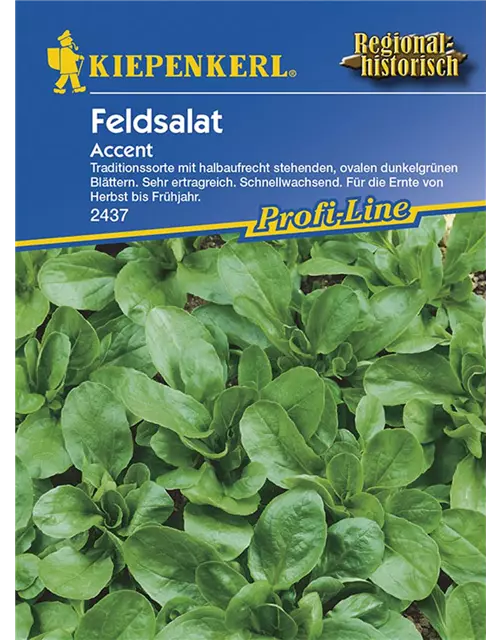 Feldsalat Accent